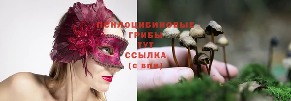 хмурый Карпинск
