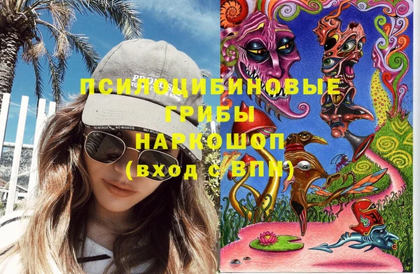 хмурый Карпинск