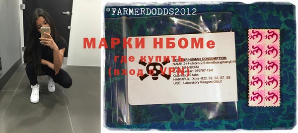 хмурый Карпинск