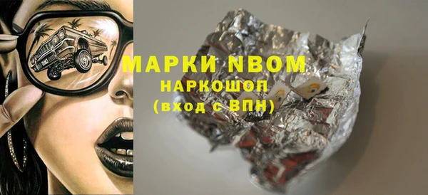 хмурый Карпинск